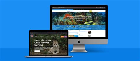 Nonprofit Landing Page Design Best Practices .